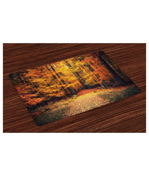 Forest Place Mats  Set of 4