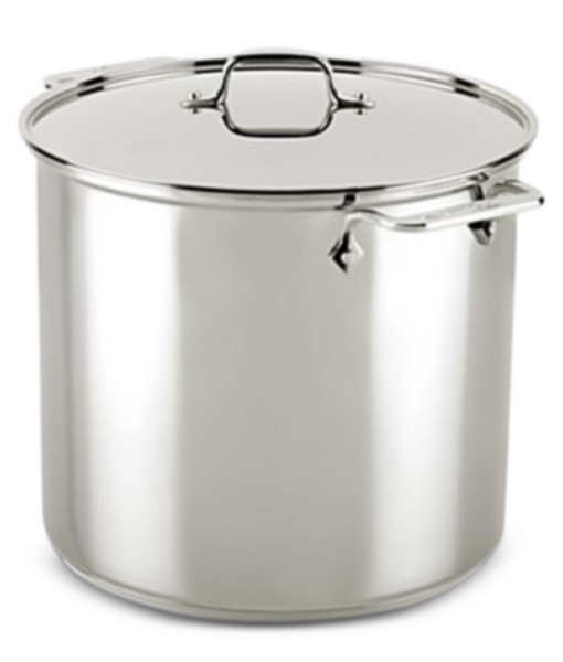 Stainless Steel 16 Qt. Stockpot with Lid