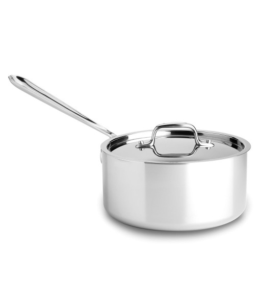 Stainless Steel 3 Qt. Covered Saucepan